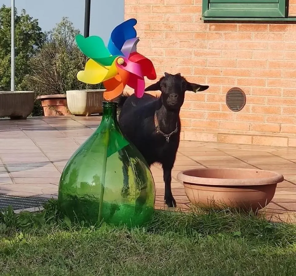 Apartmán Relax In Collina A Due Passi Dal Mare Torriana Itálie